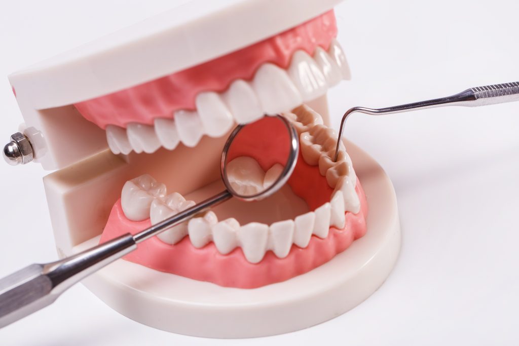 stomatologia zachowawcza - ortodoncja dabala